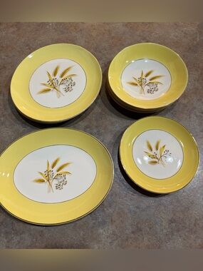 Vintage 13 piece Semi-Vitreous by Century Service Corporation. From 1950’s.